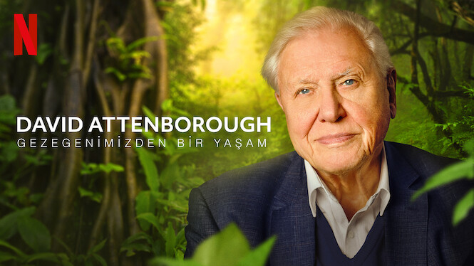 David Attenborough: Gezegenimizden Bir Yaşam